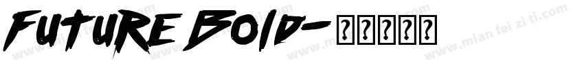 Future Bold字体转换